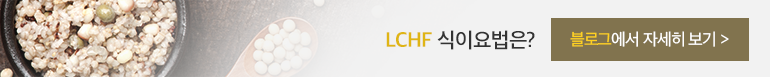 LCHF 식이요법은? 블로그에서 자세히보기